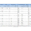Omegon Ritchey-Chretien Pro RC 406/3250 Truss OTA - Image 5