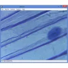 Omegon Microscope MonoView, MicroStar, achromat, 1280x, LED - Image 3