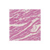 Microscope Olympus CX23 Photo, trino, plan, 40x,100x, 400x, LED - Image 4