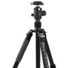 Omegon Trépied Pro 32 mm en carbone avec rotule incluse - Image 2